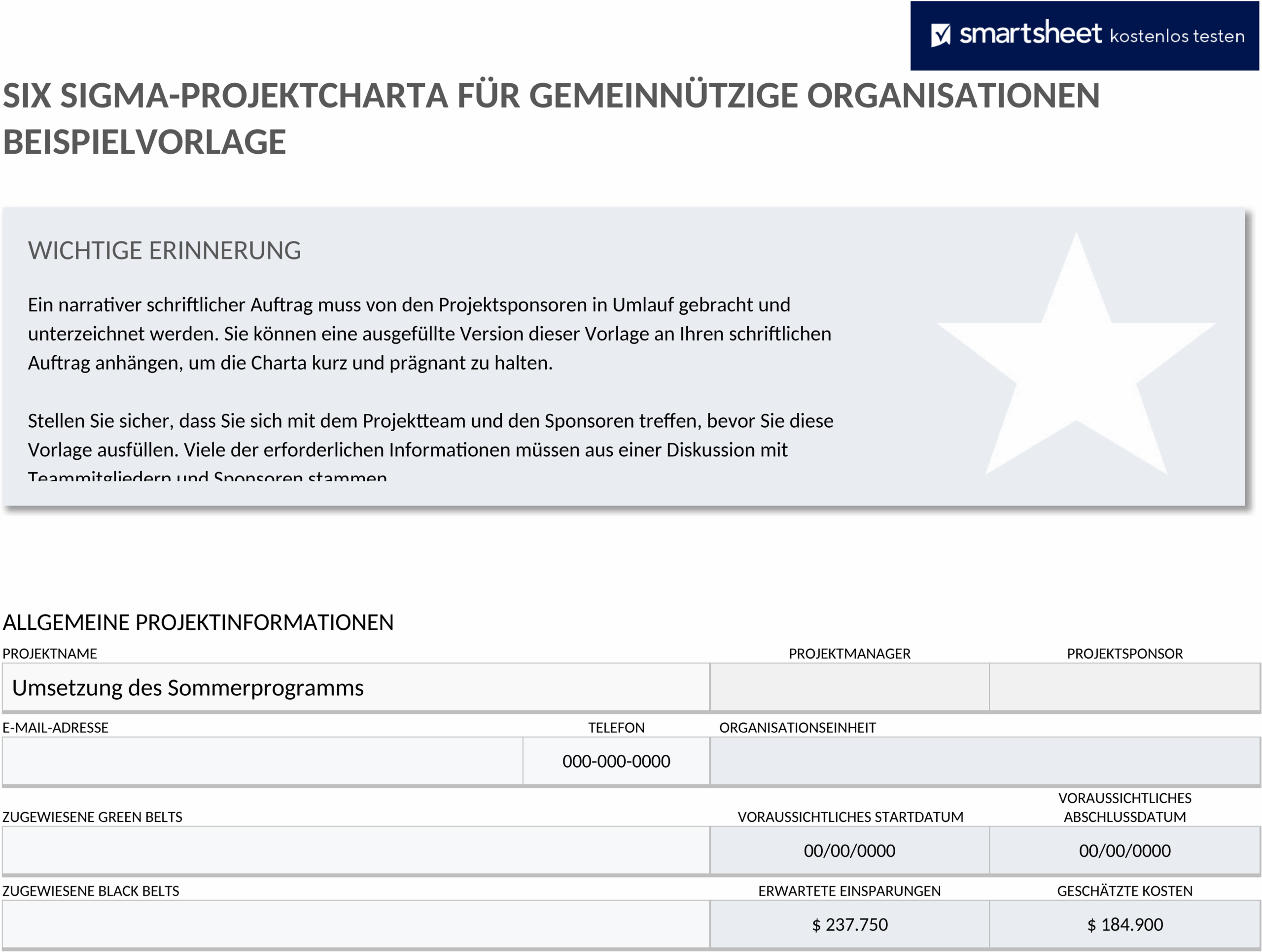 nonprofit-six-sigma-projekt-charter-beispiel.png