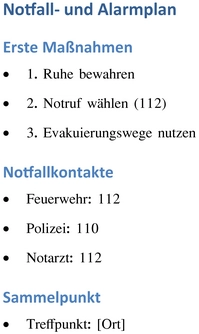 notfall-alarmplan-vorlage-sicherheit-erklaeren