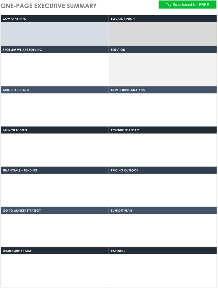 one-page-executive-summary-template-pdf.png