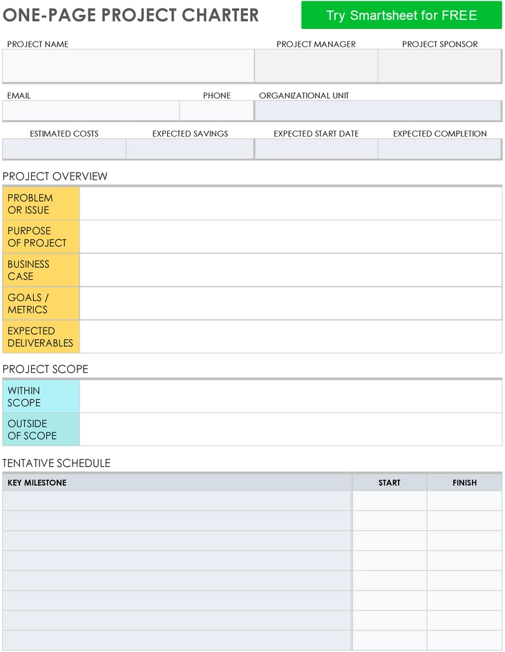 one-page-project-charter-vorlage