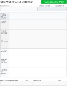 one-page-project-overview