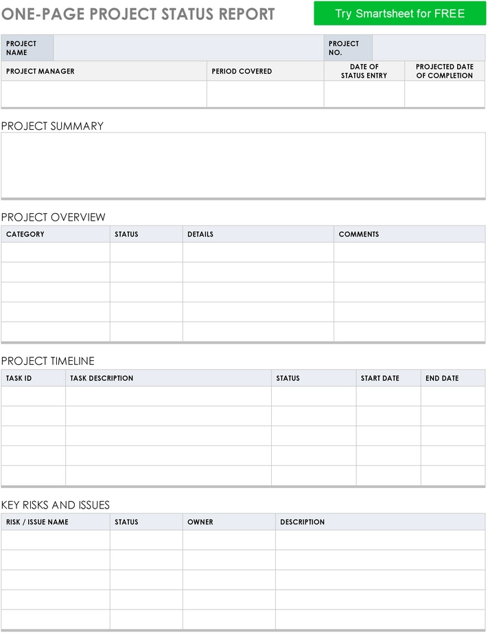 one-page-project-status-report