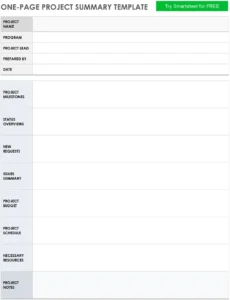 one-page-project-summary-vorlage