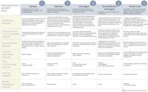 organizational-maturity-audit-pdf