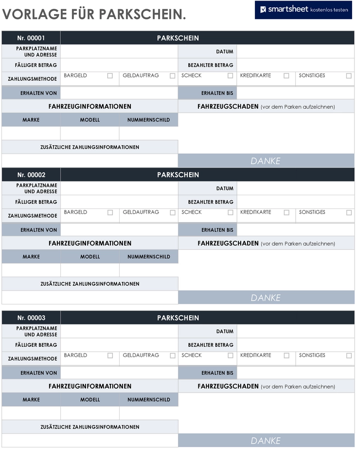 parkschein-vorlage-mit-fahrzeug-und-zahlungsinformationen