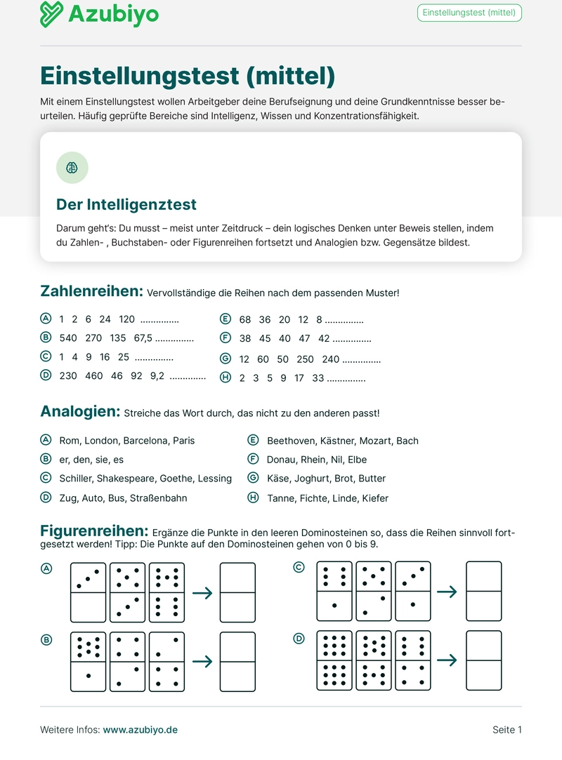 pdf-vorlage-einstellungstest-vorbereitung-auf-naechsten-job