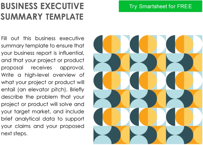 pdf-vorlage-fuer-business-executive-summary-zur-projektpraesentation