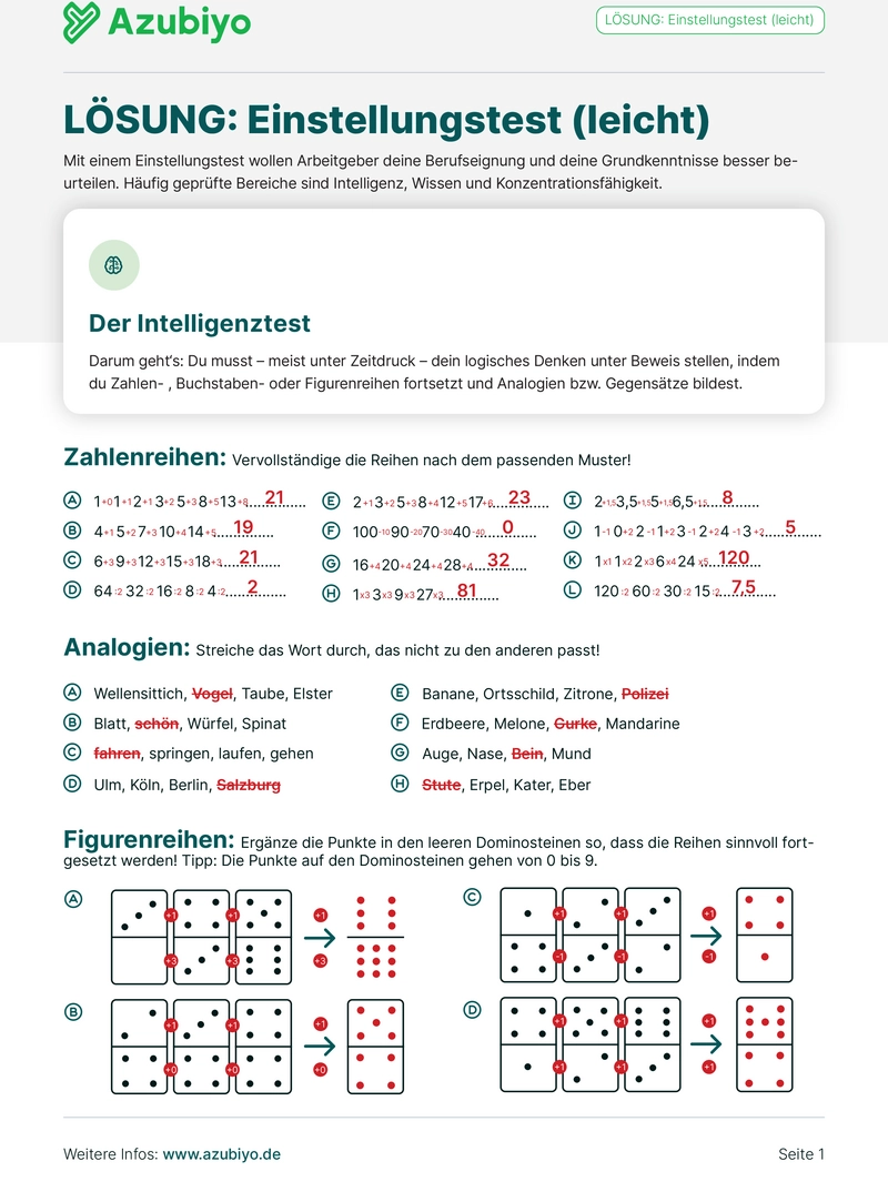 pdf-vorlage-fuer-einstellungstest-optimale-vorbereitung