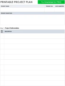 pdf-vorlage-fuer-projektplan-zur-effektiven-projektorganisation