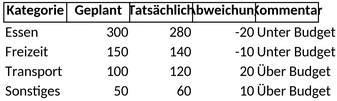 persoenliches-budget.png