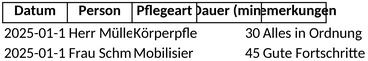 pflege-tagebuch-excel-vorlage-zur-dokumentation-von-pflegeleistungen