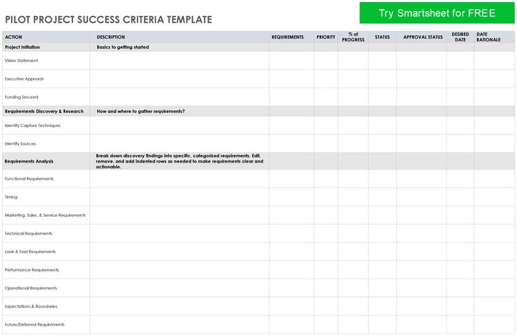 pilot-project-success-criteria-vorlage