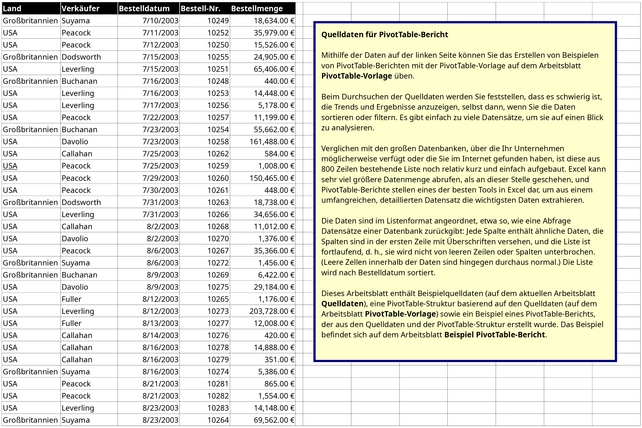 pivot-table-verkaufsanalyse-vorlage