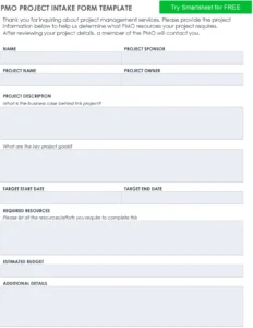 pmo-project-intake-form-unternehmensorganisation