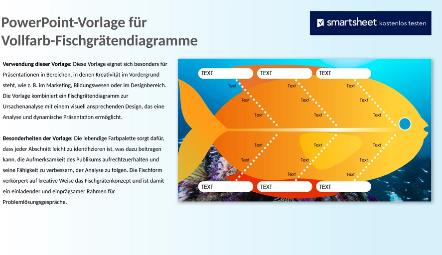 powerpoint-farbige-fishbone-diagramm-vorlage-50108.png