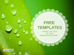 powerpoint-vorlage-fuer-kreative-praesentationen-mit-naturdesign