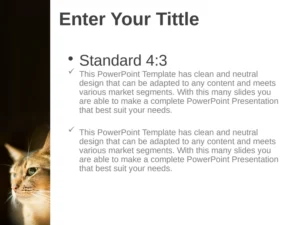 powerpoint-vorlage-fuer-vielseitige-praesentationen-im-marketing-und-buero