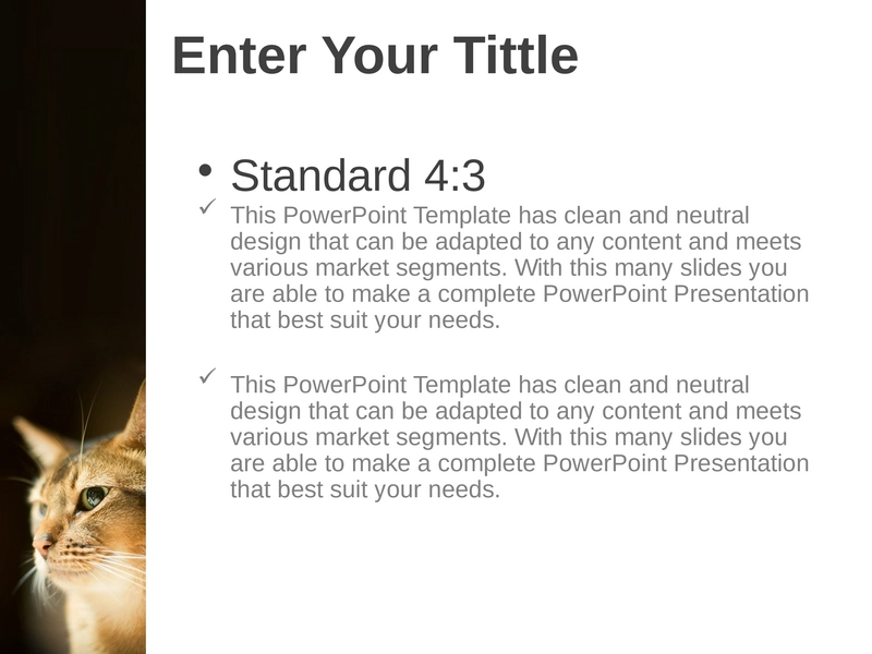 powerpoint-vorlage-fuer-vielseitige-praesentationen-im-marketing-und-buero