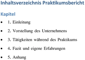 praktikumsbericht-vorlage-fuer-erfahrungen-dokumentieren