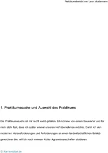 praktikumsbericht-vorlage-mit-struktur-und-anwendungsbereichen