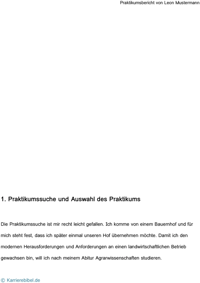 praktikumsbericht-vorlage-mit-strukturierten-abschnitten