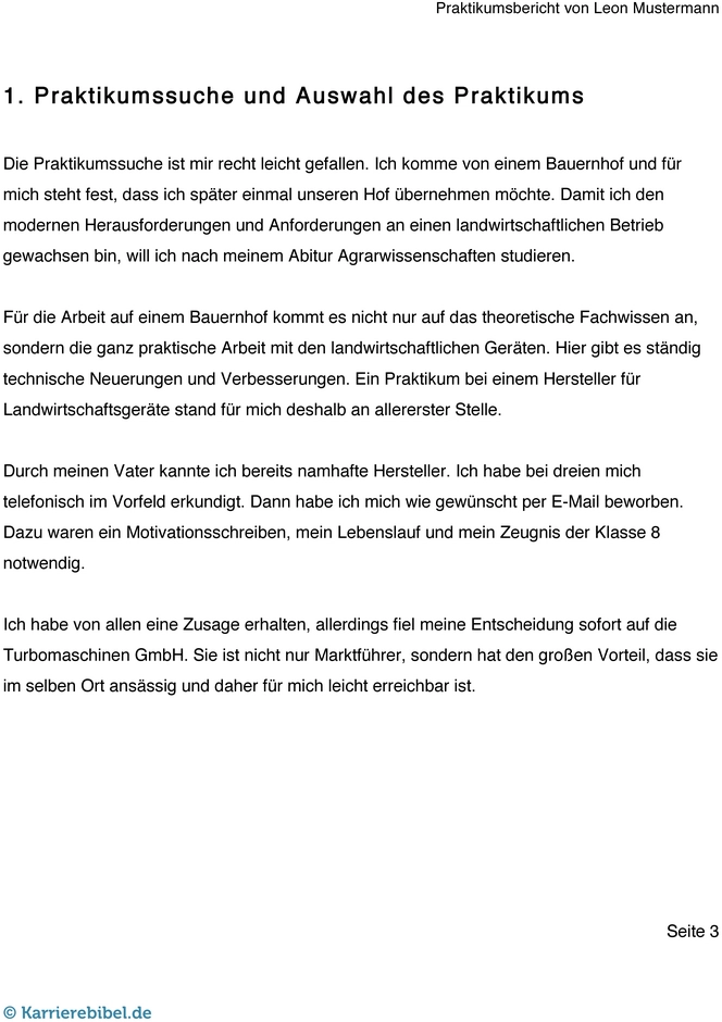 praktikumsbericht-vorlage.png