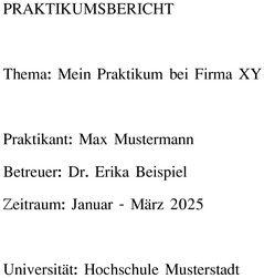 praktikumsbericht-word-vorlage-fuer-studierende