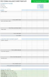 pro-forma-bilanz-vorlage-fuer-finanzplanung-und-unternehmensorganisation