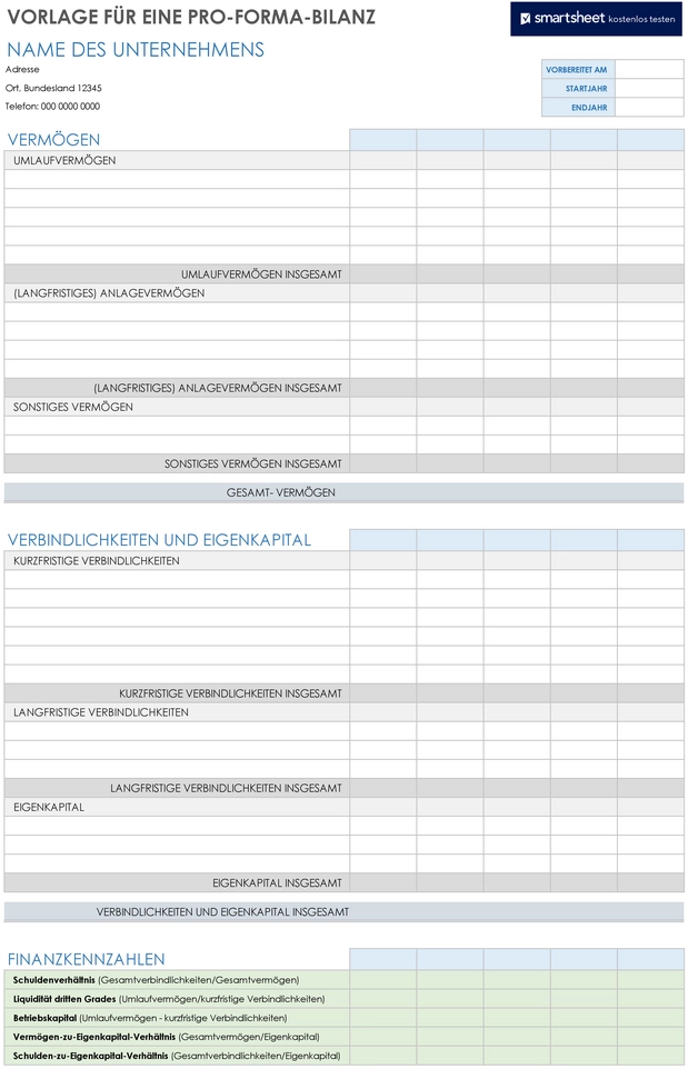 pro-forma-bilanz-vorlage-fuer-unternehmen