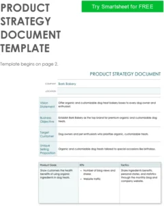 product-strategy-document-vorlage