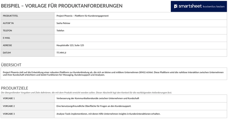 produktanforderungen-vorlage-beispiel-excel.png