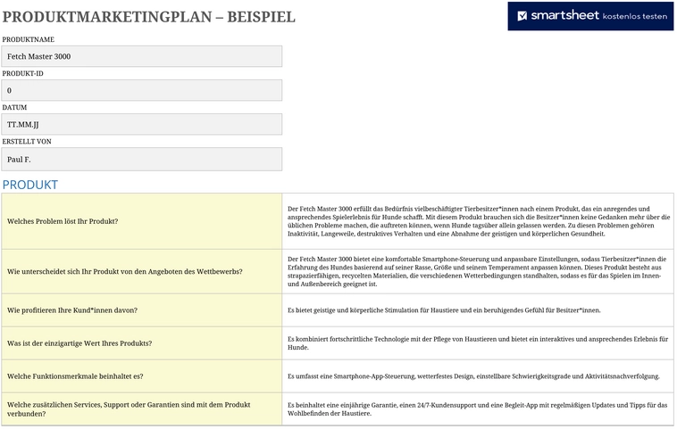 produktmarketingplan-fuer-erfolgreiche-markteinfuehrungen