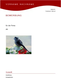 professionelle-word-vorlage-fuer-bewerbung-und-lebenslauf