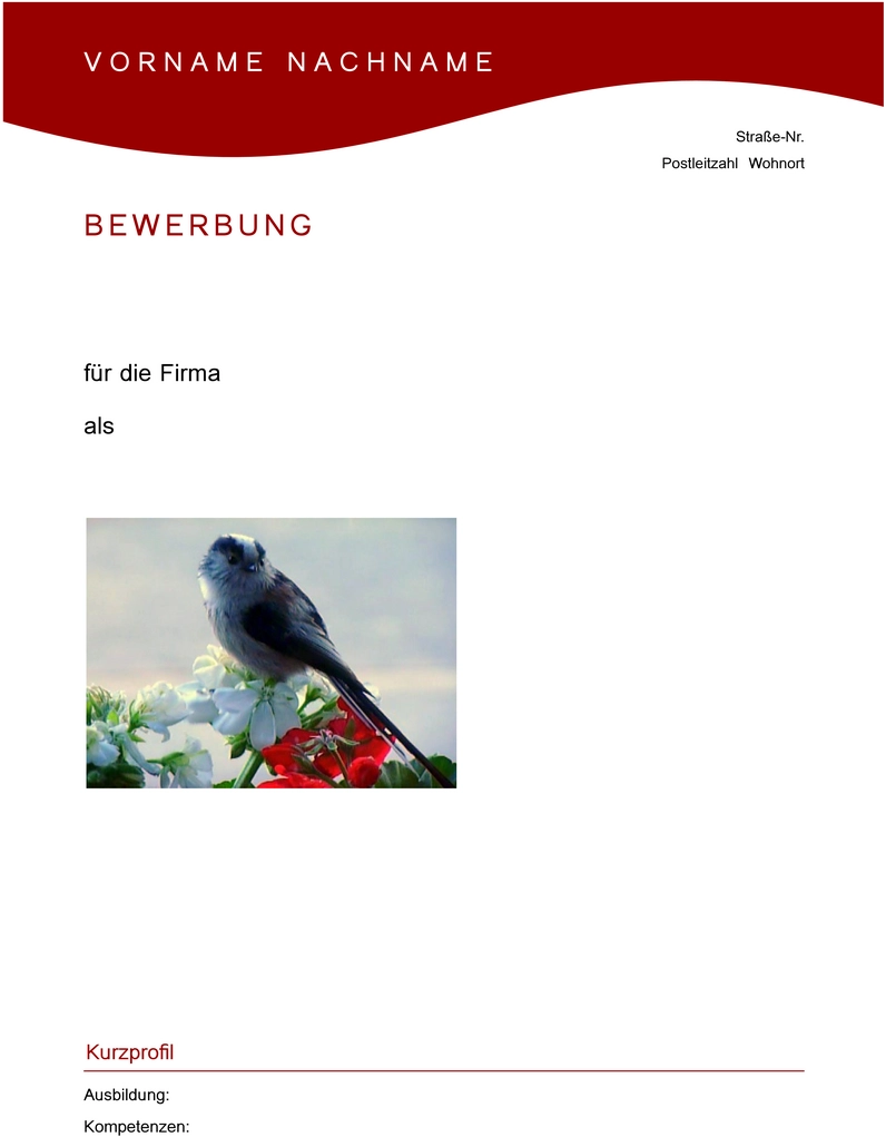 professionelle-word-vorlage-fuer-bewerbung-und-lebenslauf