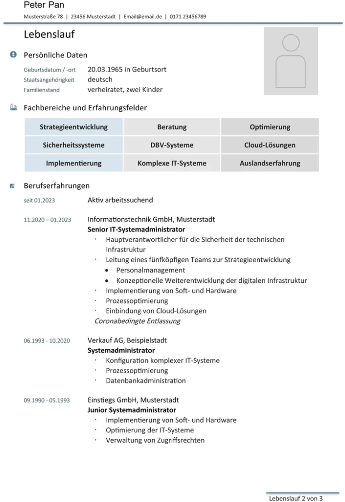 professioneller-lebenslauf-word-vorlage-fuer-bewerbungen
