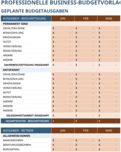professionelles-business-budget-excel-vorlage
