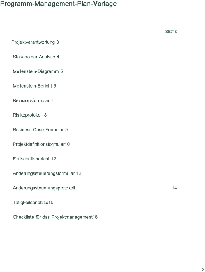 programm-management-plan-vorlage-fuer-projektorganisation