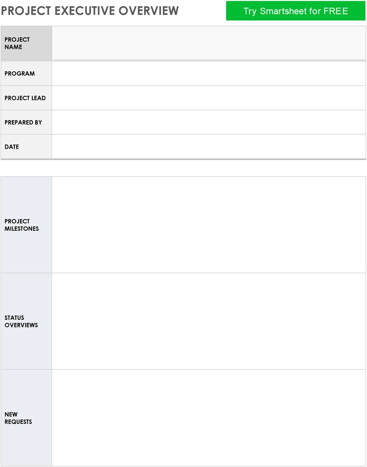 project-executive-overview-pdf