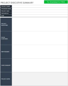 project-executive-summary-vorlage-fuer-effektives-projektmanagement