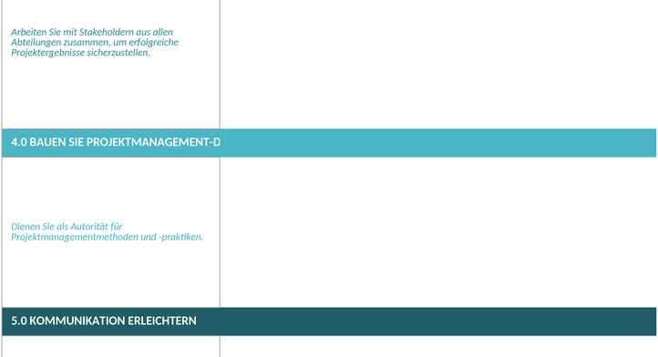 projekt-charter-formular.png