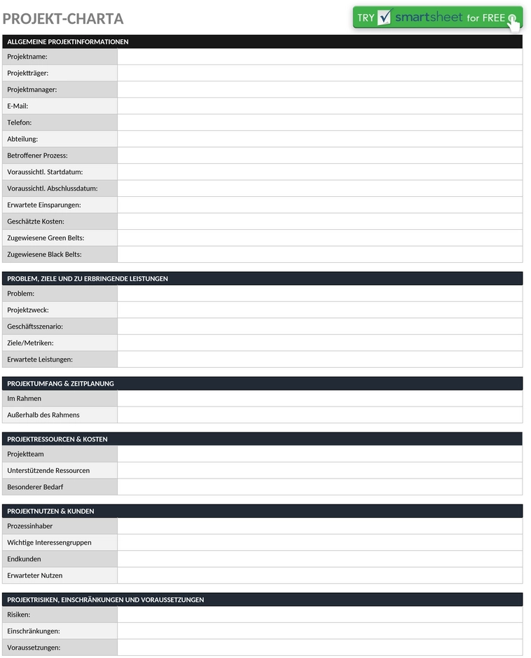 projekt-charter-vorlage-47045-word-de.png