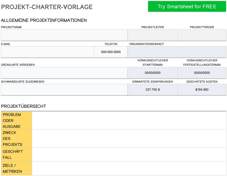 projekt-charter-vorlage-fuer-erfolgreiches-projektmanagement