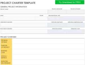 projekt-charter-vorlage-zur-erfolgreichen-projektplanung