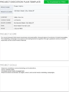 projekt-execution-plan-vorlage