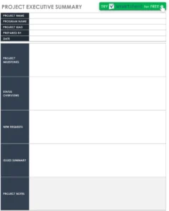 projekt-executive-summary-pdf