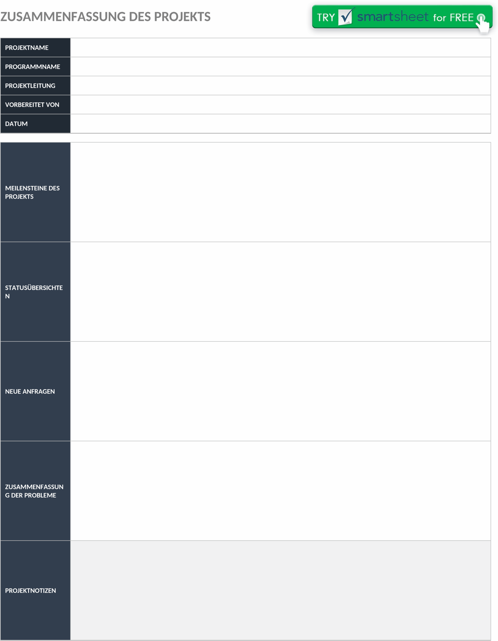 Projekt-Executive-Summary Word-Dokument