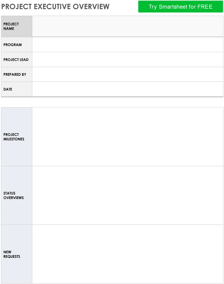 projekt-executive-uebersicht-template-11054_pdf.png
