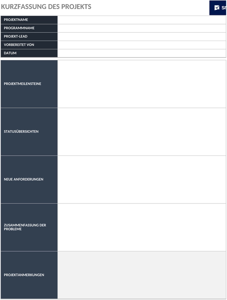 projekt-management-executive-summary-49721-de.png