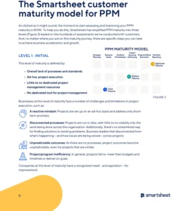 projekt-management-reifegrad-bewertung-pdf