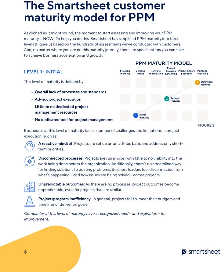 projekt-management-reifegrad-bewertung-pdf